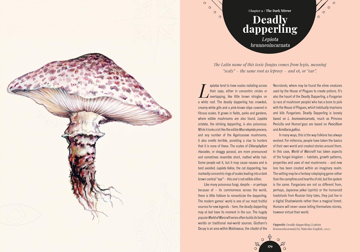 Kew - The Magic of Mushrooms : Fungi in folklore, superstition and traditional medicine