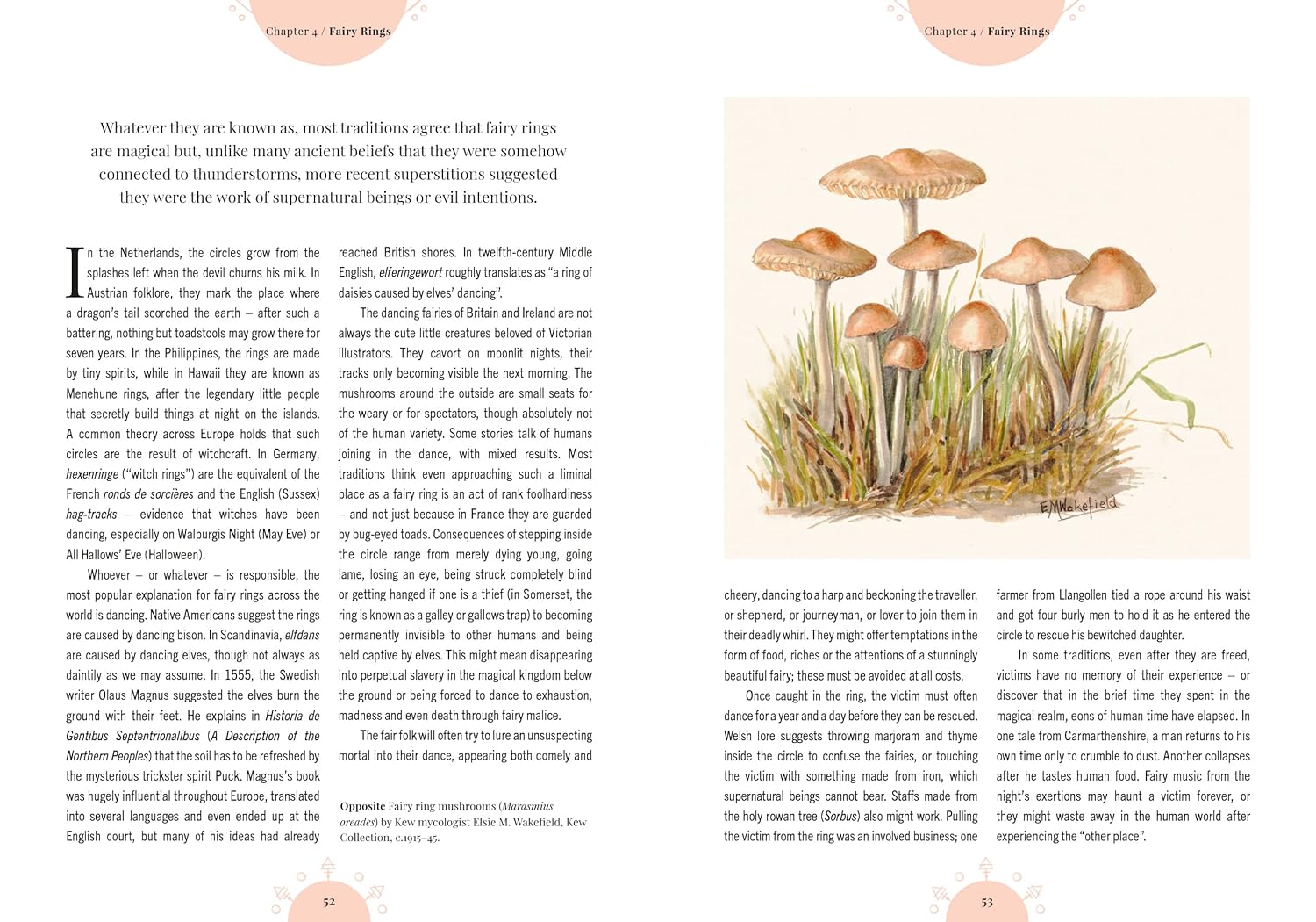 Kew - The Magic of Mushrooms : Fungi in folklore, superstition and traditional medicine