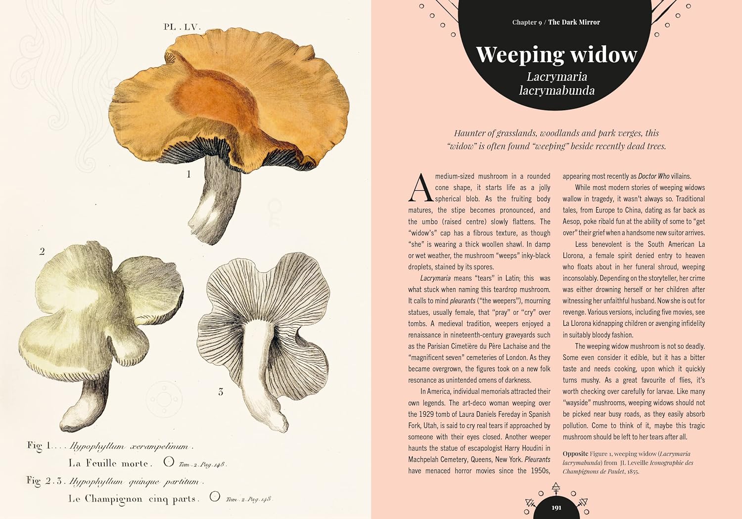Kew - The Magic of Mushrooms : Fungi in folklore, superstition and traditional medicine