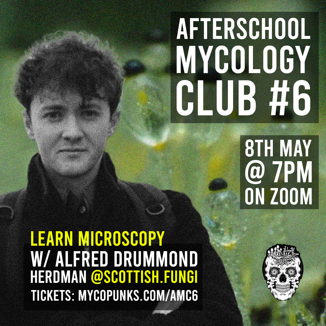 Afterschool Mycology Club #6 - W/ Alfred @scottish.fungi (Digital Download)