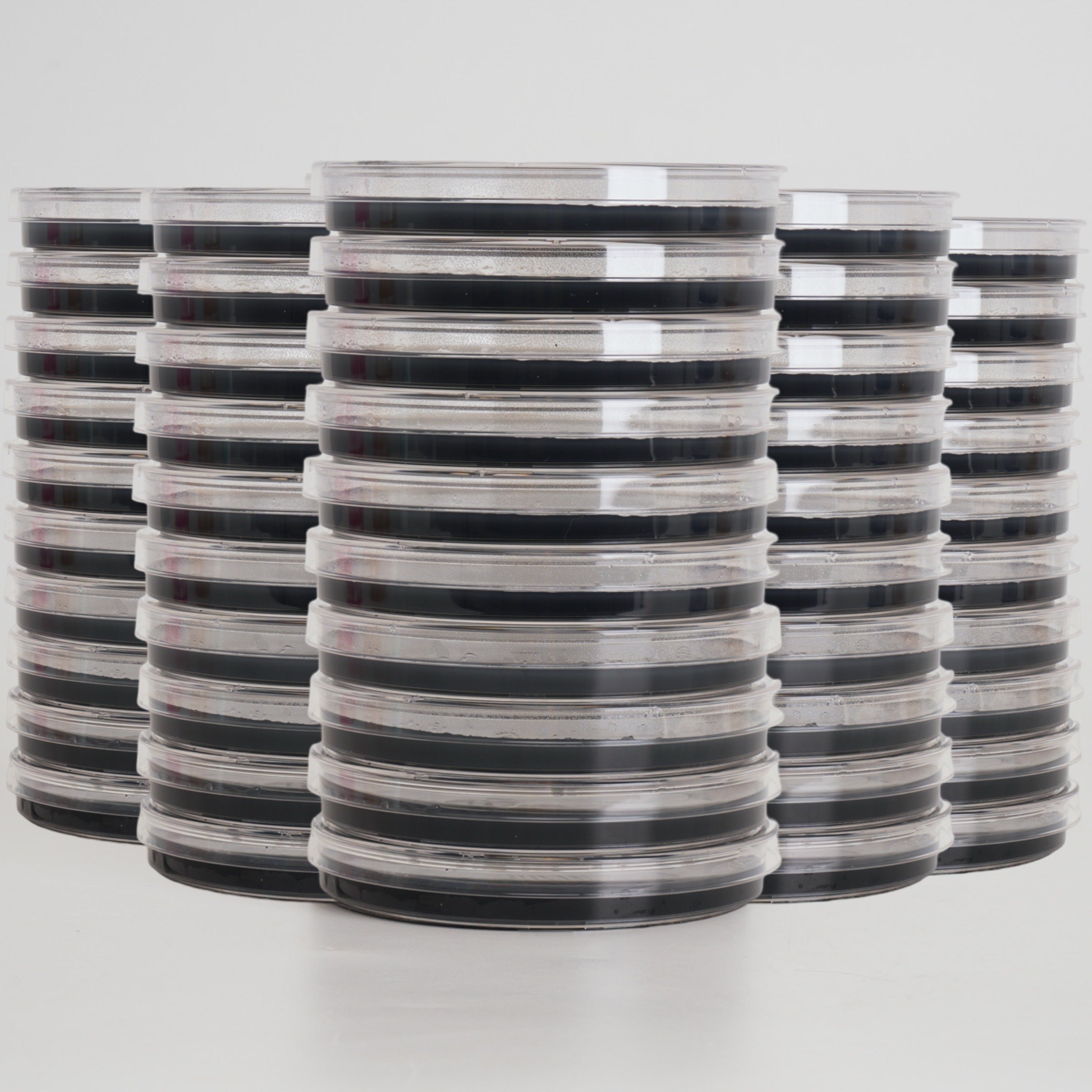 Potato Dextrose Yeast Agar (PDYA) Petri Dishes for Mushroom Mycelium Cultivation (10pk)