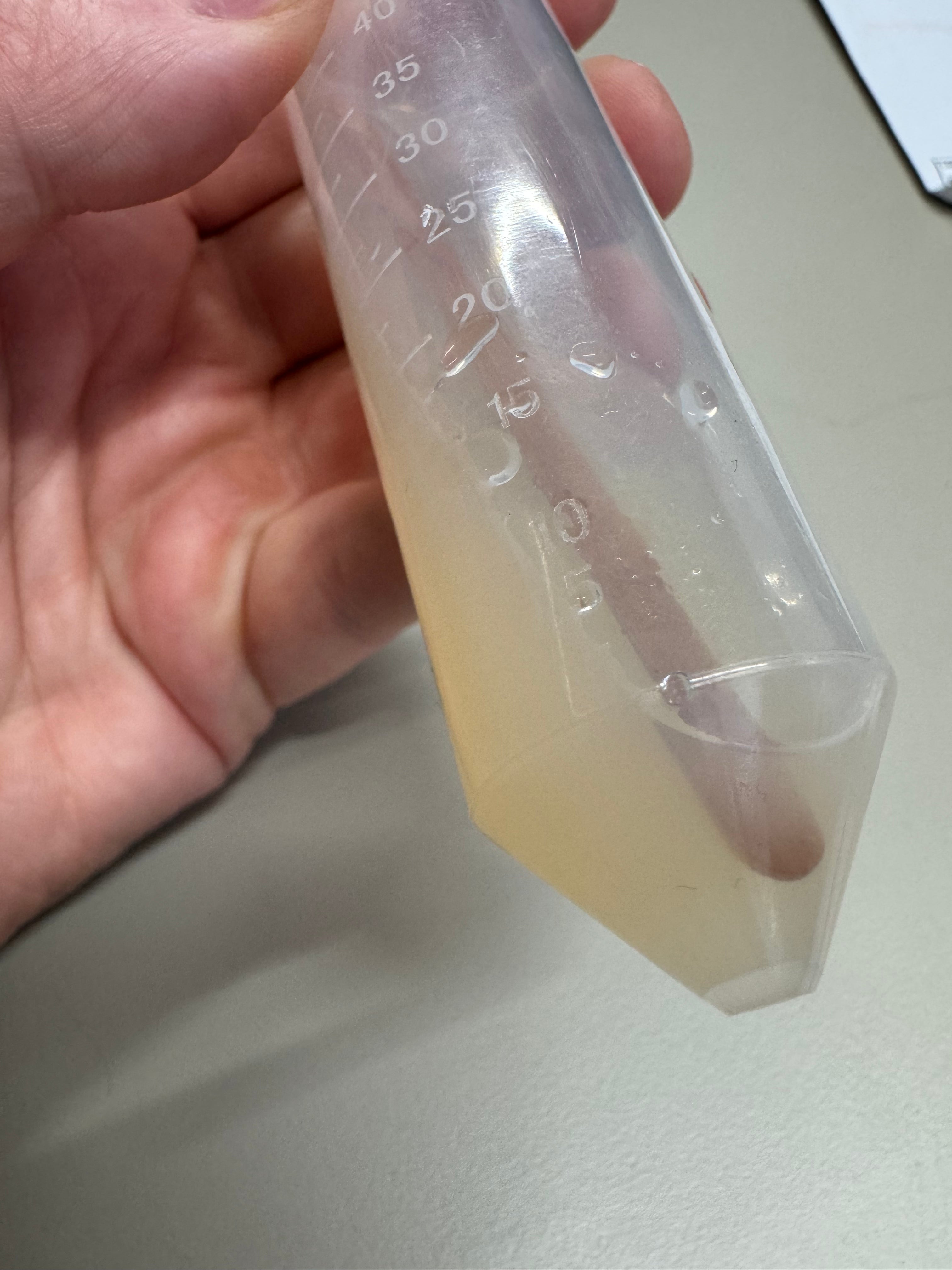 PDYA Slants for long term culture storage (5pk)
