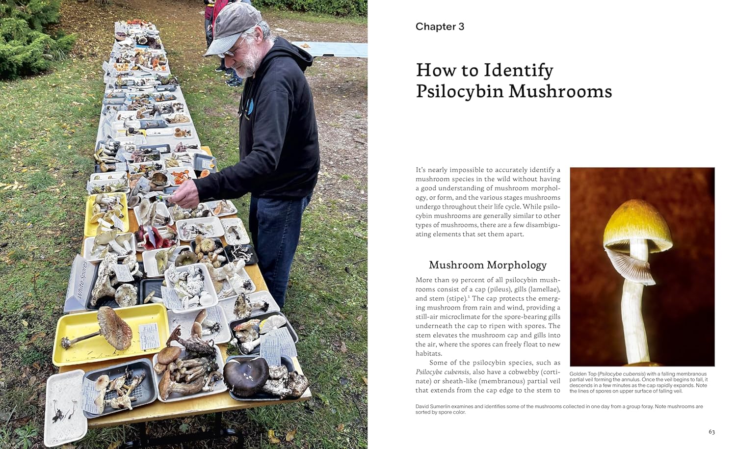 Psilocybin Mushrooms in Their Natural Habitats: A Guide to the History, Identification, and Use of Psychoactive Fungi