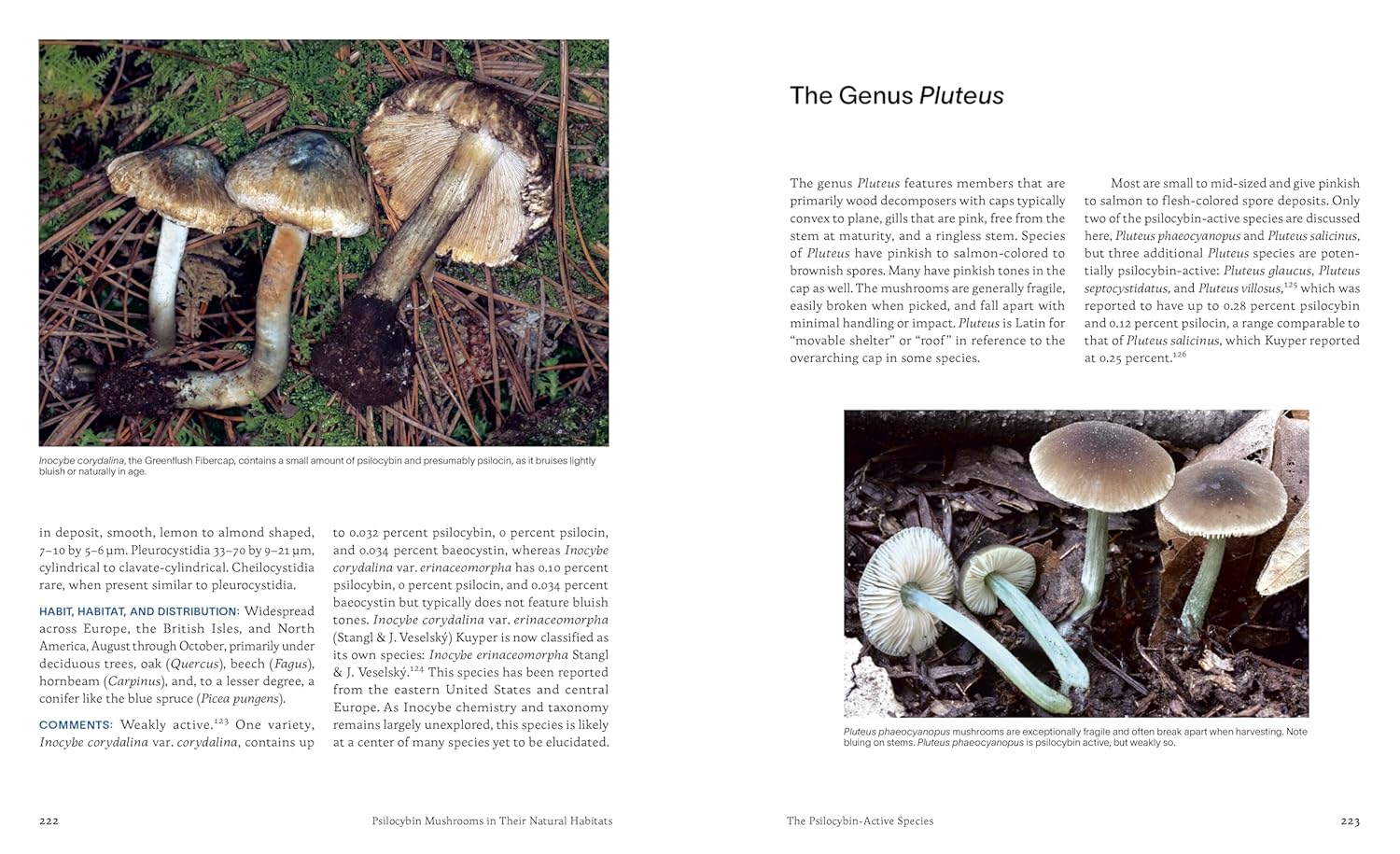 Psilocybin Mushrooms in Their Natural Habitats: A Guide to the History, Identification, and Use of Psychoactive Fungi