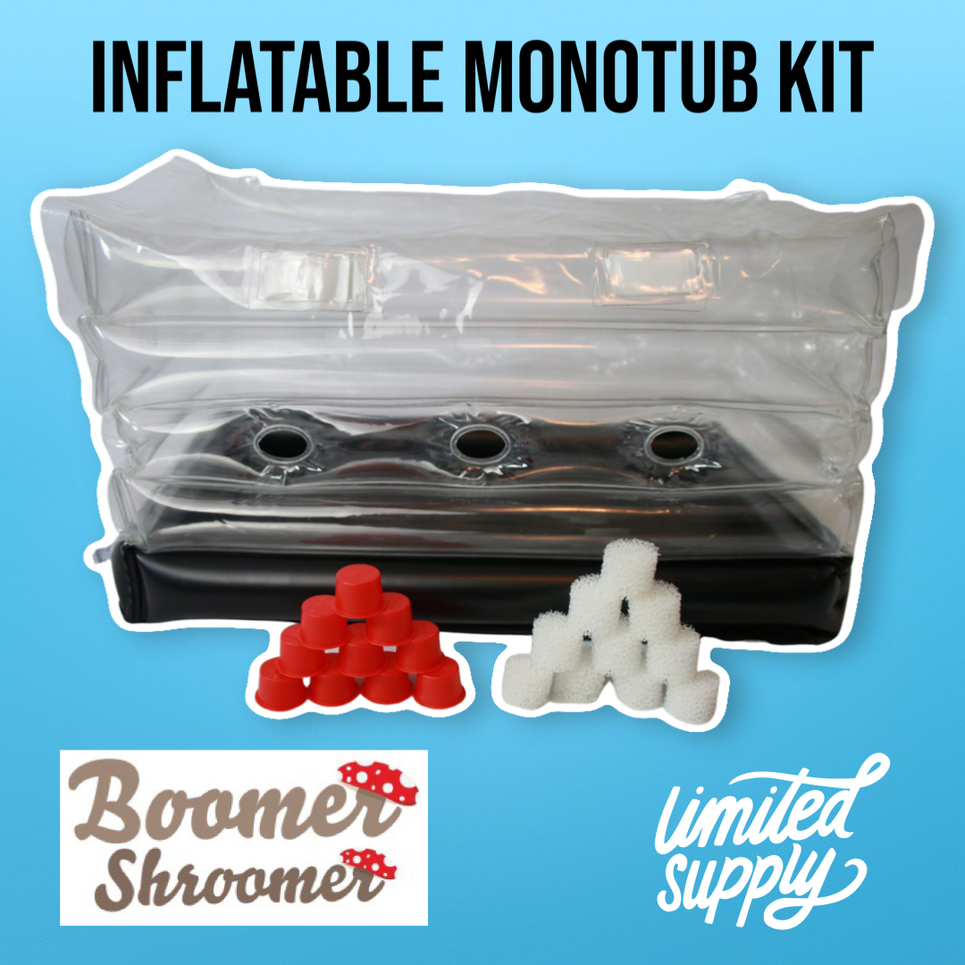 The Boomer Shroomer inflatable monotub on blue background with the plug accessories
